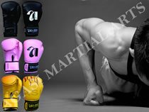 Muay Thai